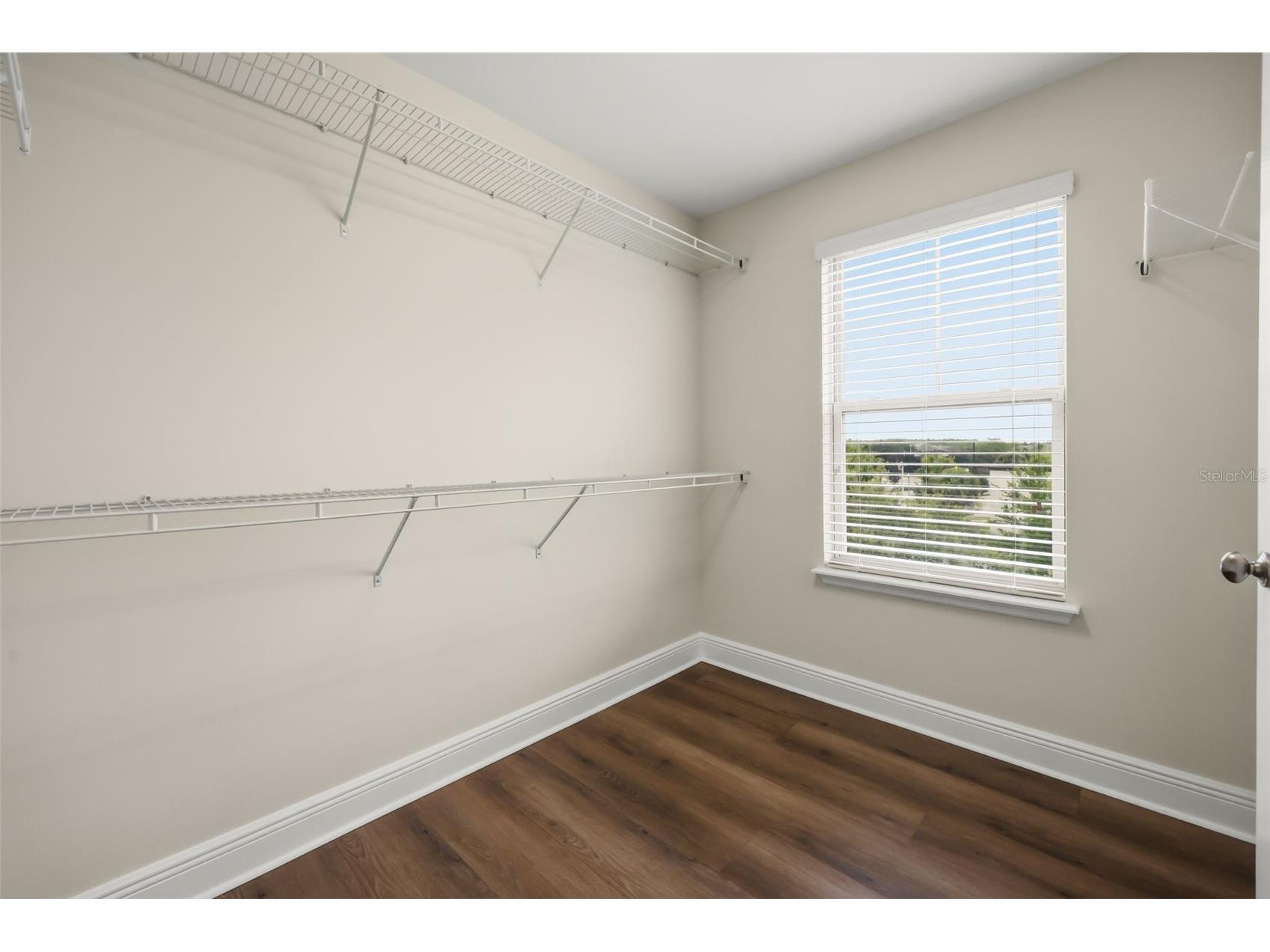 10522 Green Ivy Lane Orlando FL 32832 - East Lake O6420252 image19