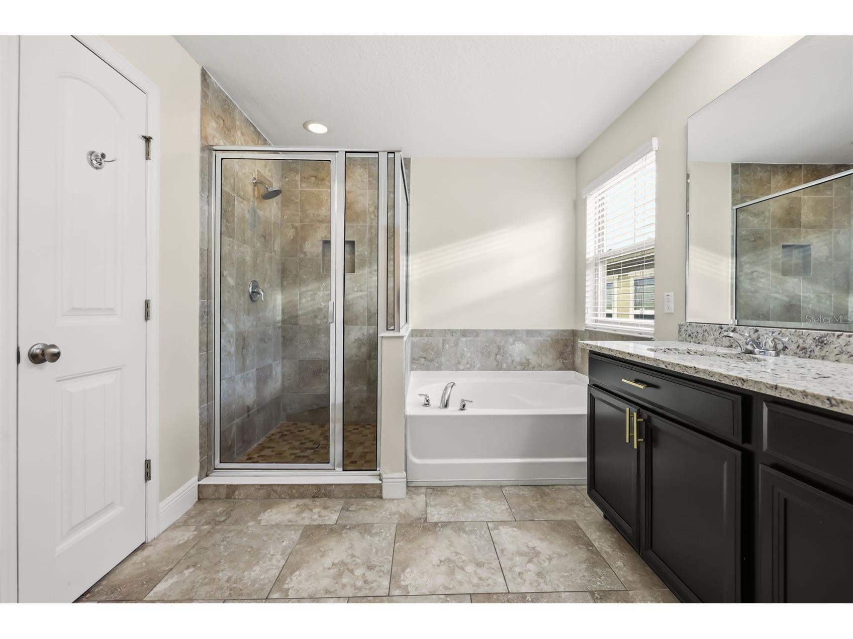 10522 Green Ivy Lane Orlando FL 32832 - East Lake O6420252 image21