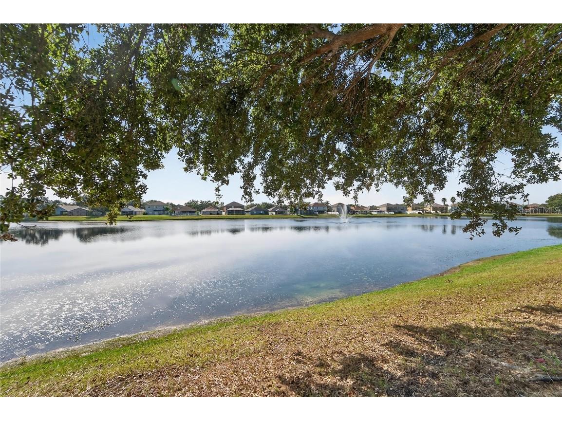 10522 Lakeside Vista Drive Riverview FL 33569 TB8456385 image17