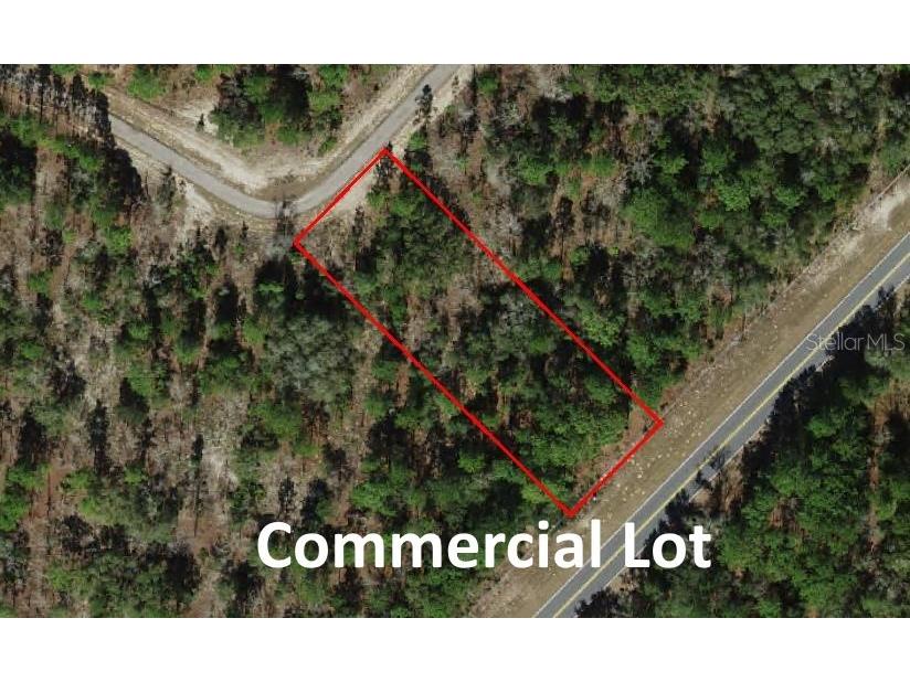 10522 N Elkcam Boulevard Citrus Springs FL 34433 OM680799 image1