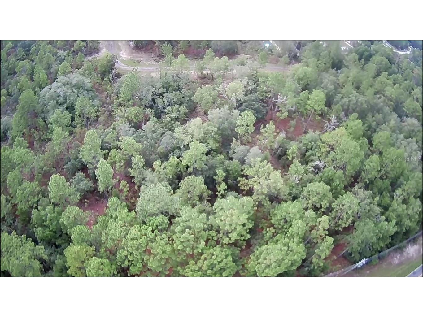 10522 N Elkcam Boulevard Citrus Springs FL 34433 OM680799 image3