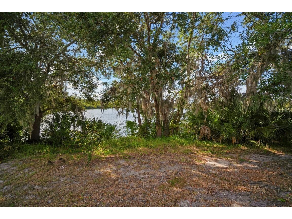 10523 Lake Montauk Drive Riverview FL 33578 TB8443440 image31