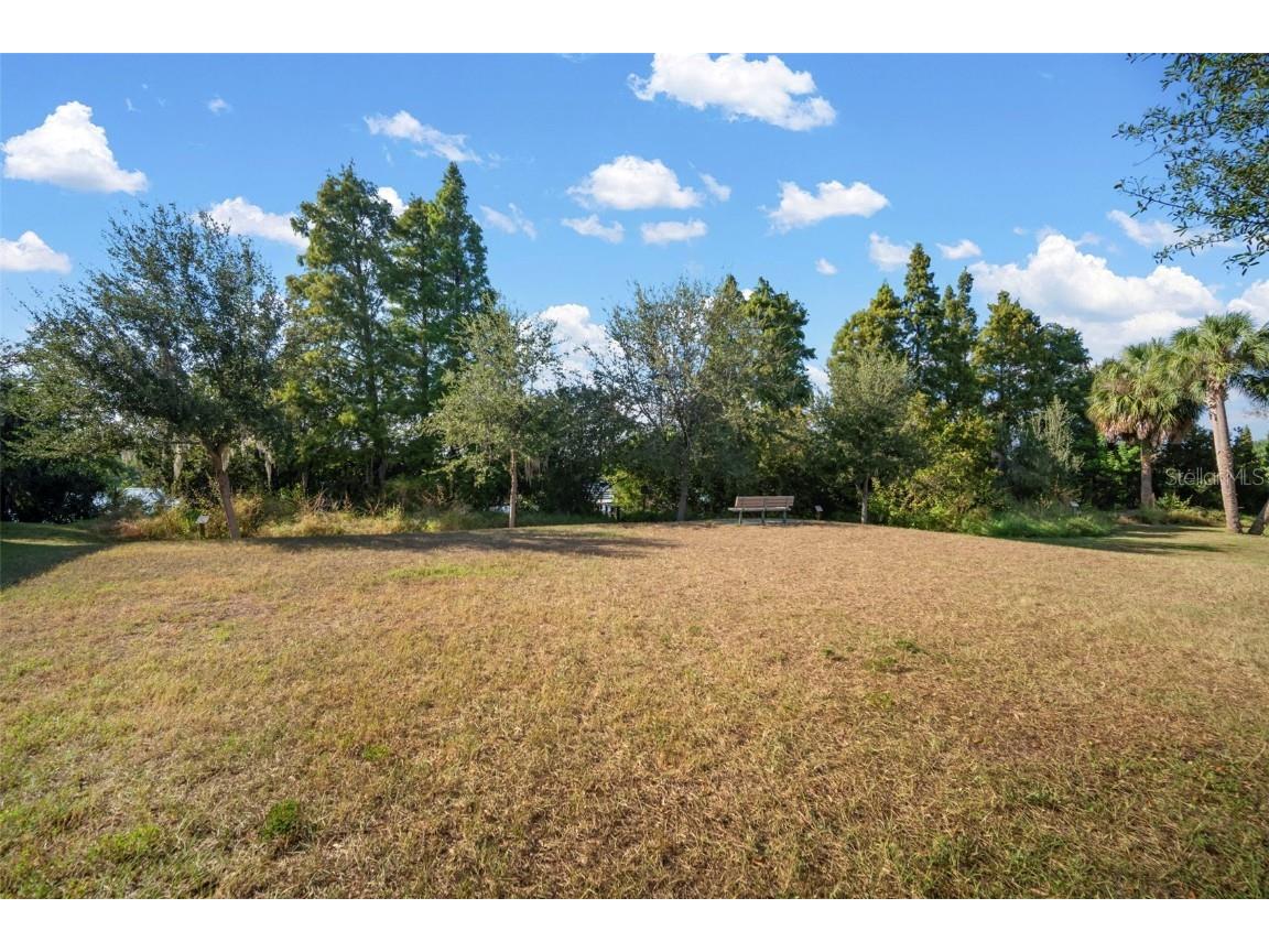 10523 Lake Montauk Drive Riverview FL 33578 TB8443440 image34