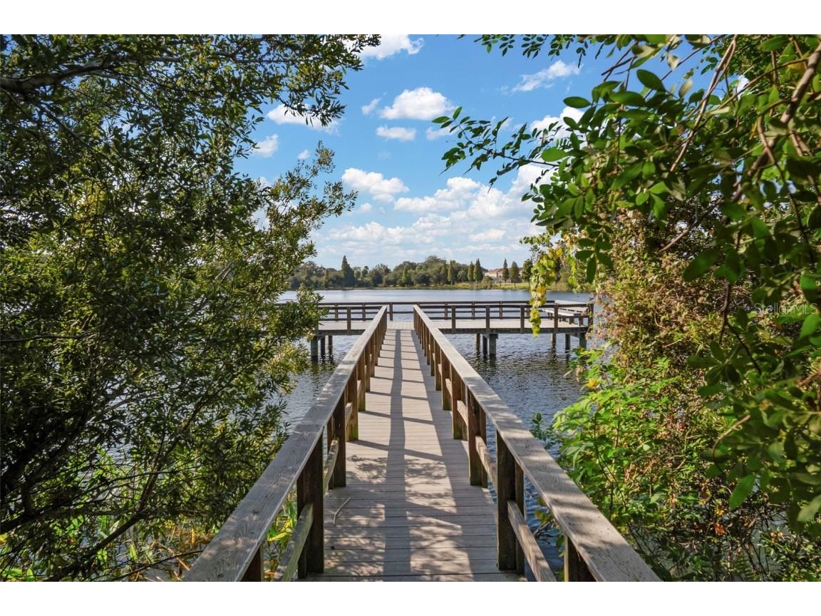 10523 Lake Montauk Drive Riverview FL 33578 TB8443440 image36