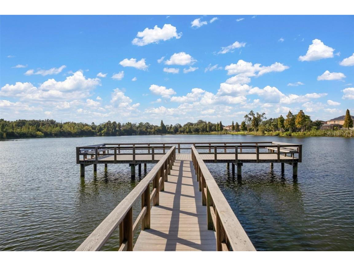 10523 Lake Montauk Drive Riverview FL 33578 TB8443440 image37