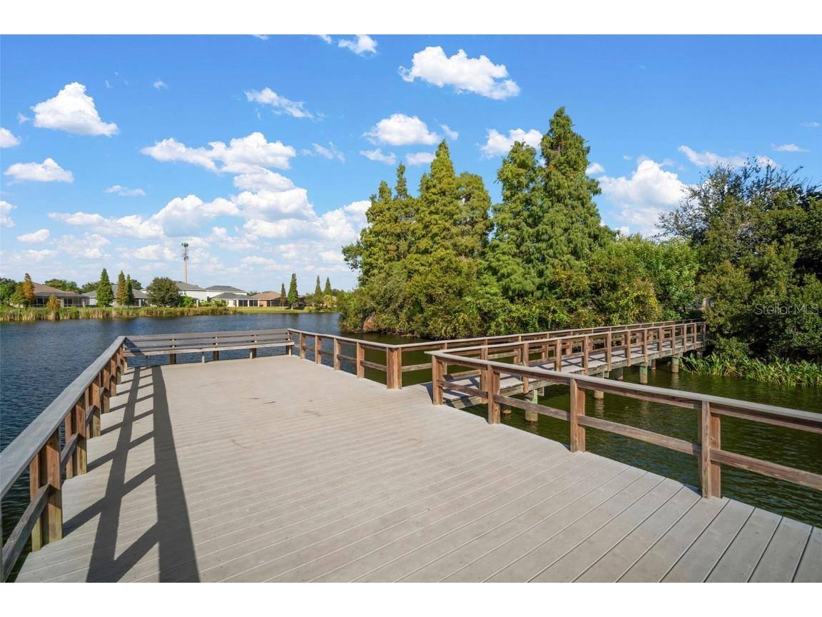 10523 Lake Montauk Drive Riverview FL 33578 TB8443440 image38