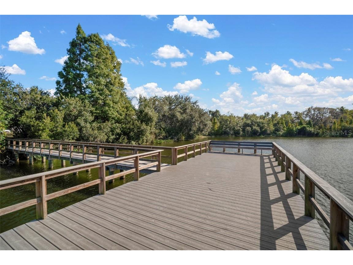 10523 Lake Montauk Drive Riverview FL 33578 TB8443440 image39