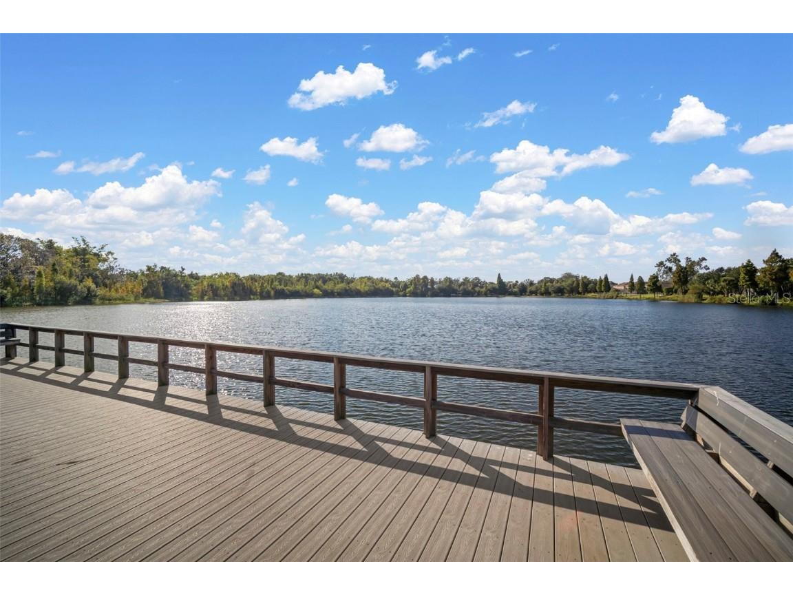 10523 Lake Montauk Drive Riverview FL 33578 TB8443440 image46