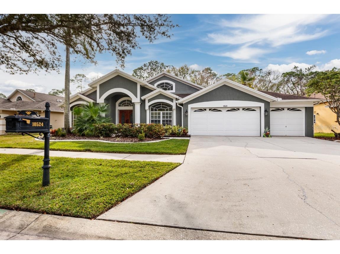 10524 Chambers Drive Tampa FL 33626 U8226869 image1