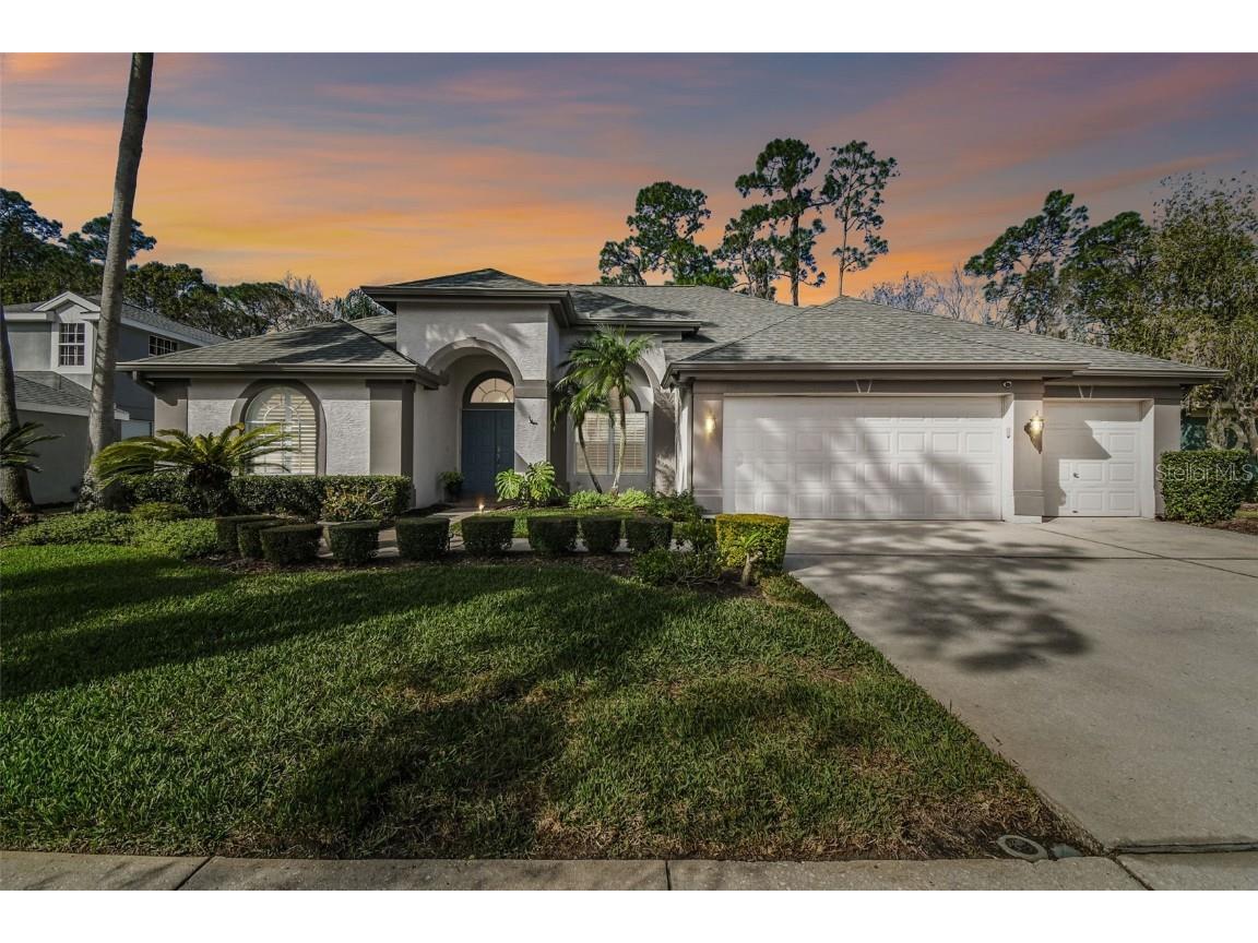 10524 Greencrest Drive Tampa FL 33626 TB8344367 image1