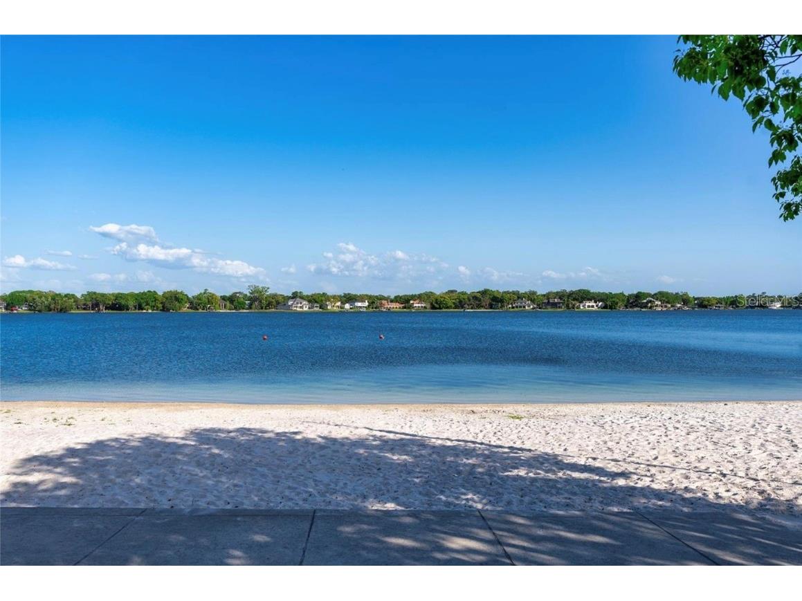 10524 Orange Grove Drive Tampa FL 33618 TB8452060 image56