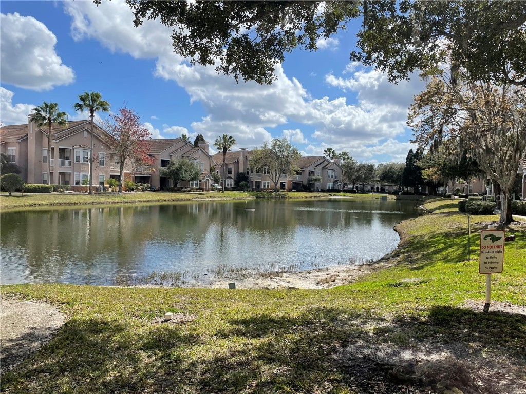 10524 Villa View Circle #10524 Tampa FL 33647 O6086040 image1