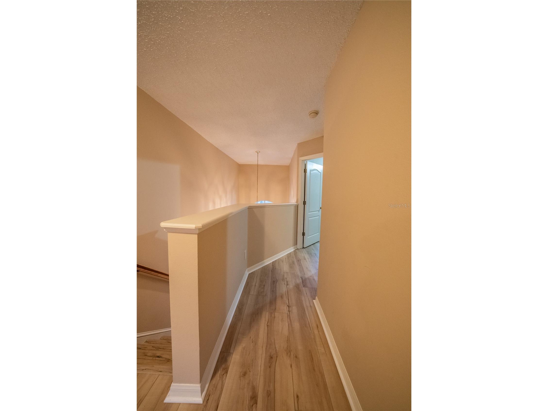 10526 Beneva Drive Tampa FL 33647 OM722750 image43