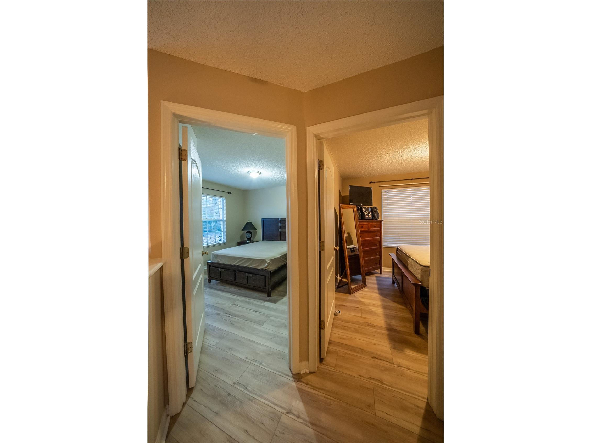 10526 Beneva Drive Tampa FL 33647 OM722750 image44