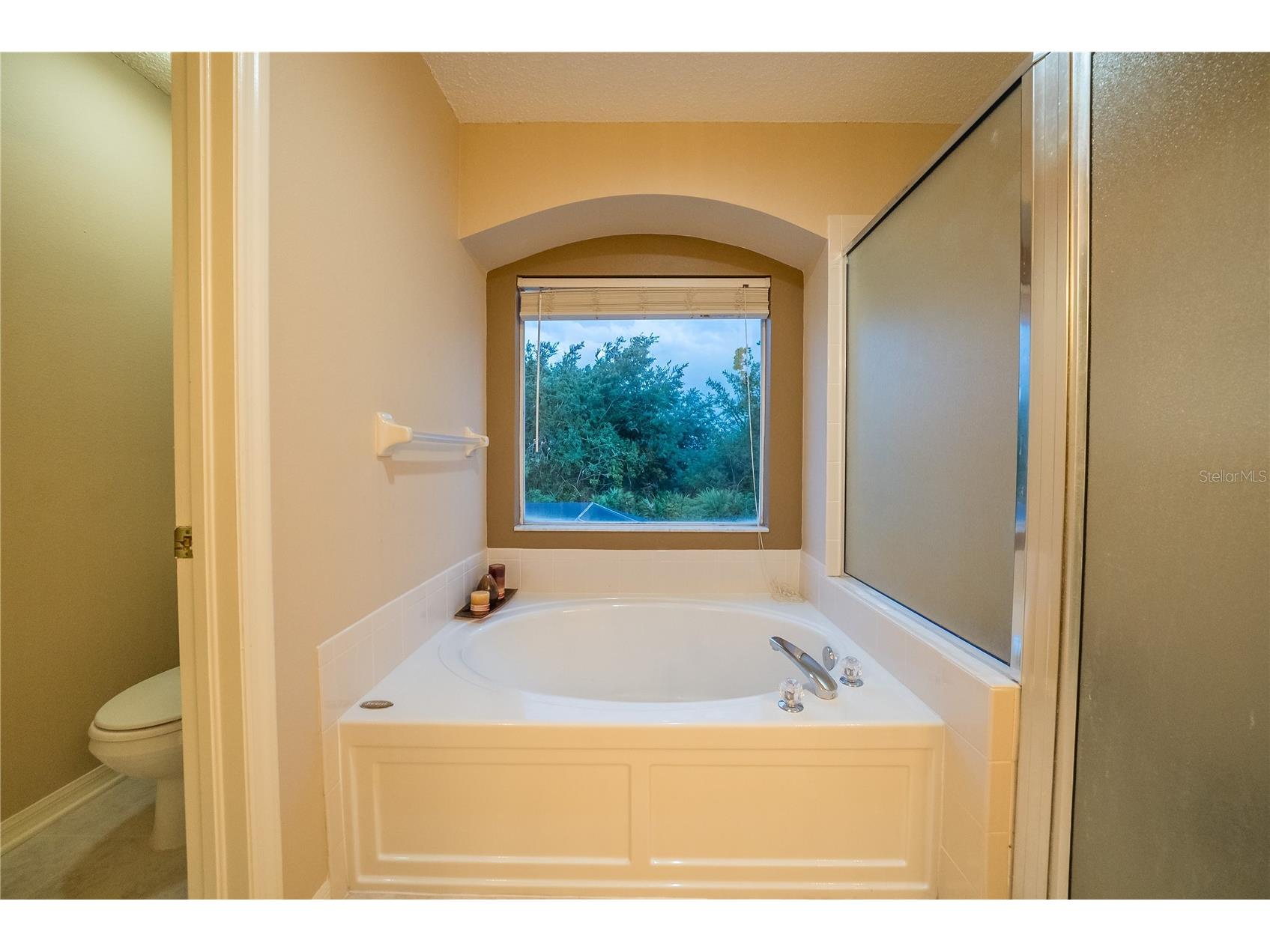 10526 Beneva Drive Tampa FL 33647 OM722750 image56