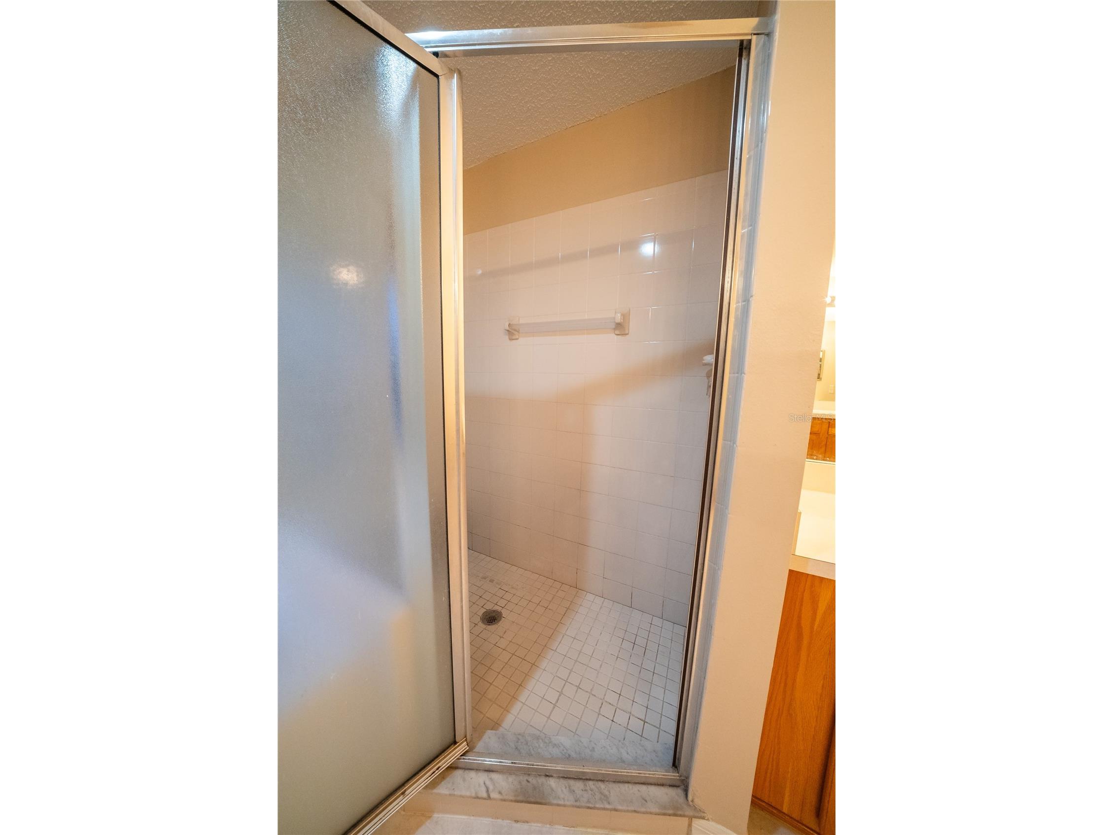 10526 Beneva Drive Tampa FL 33647 OM722750 image59