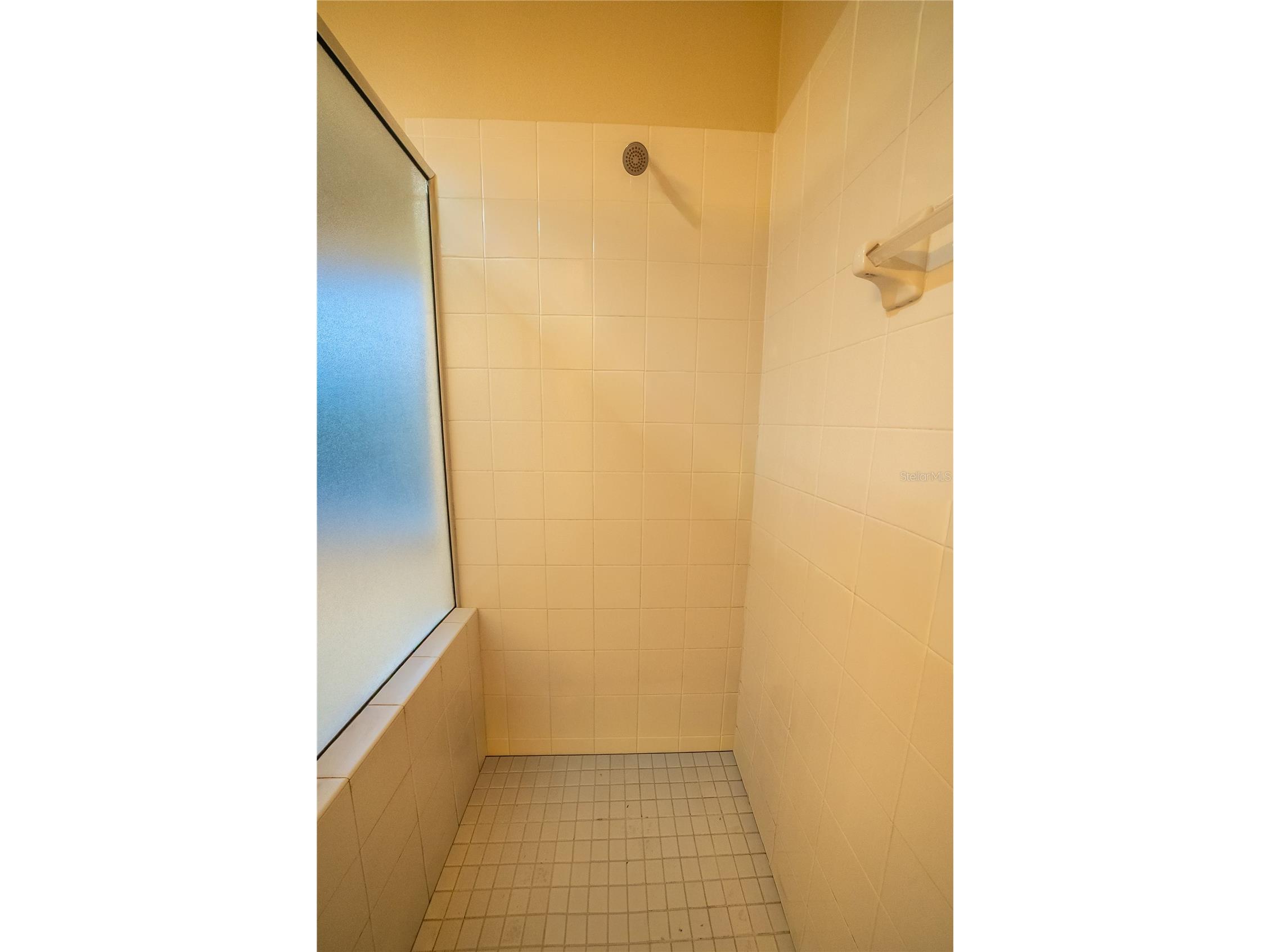 10526 Beneva Drive Tampa FL 33647 OM722750 image60