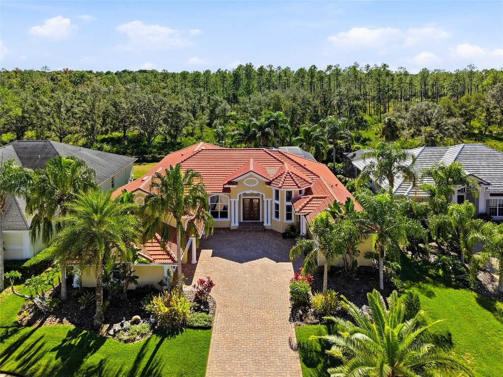 10526 Cory Lake Drive Tampa FL 33647 TB8447636 image1