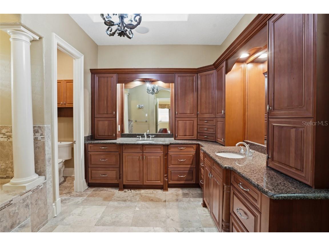 10526 Cory Lake Drive Tampa FL 33647 TB8447636 image23