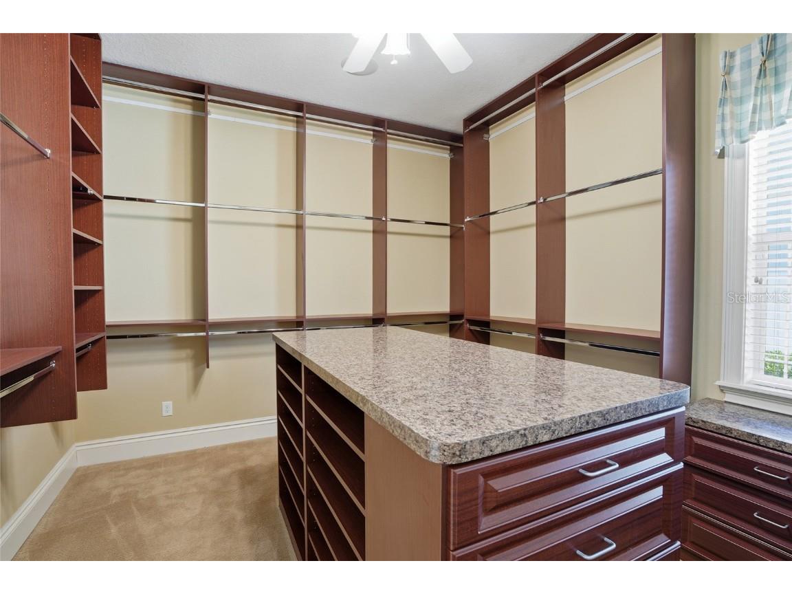 10526 Cory Lake Drive Tampa FL 33647 TB8447636 image27