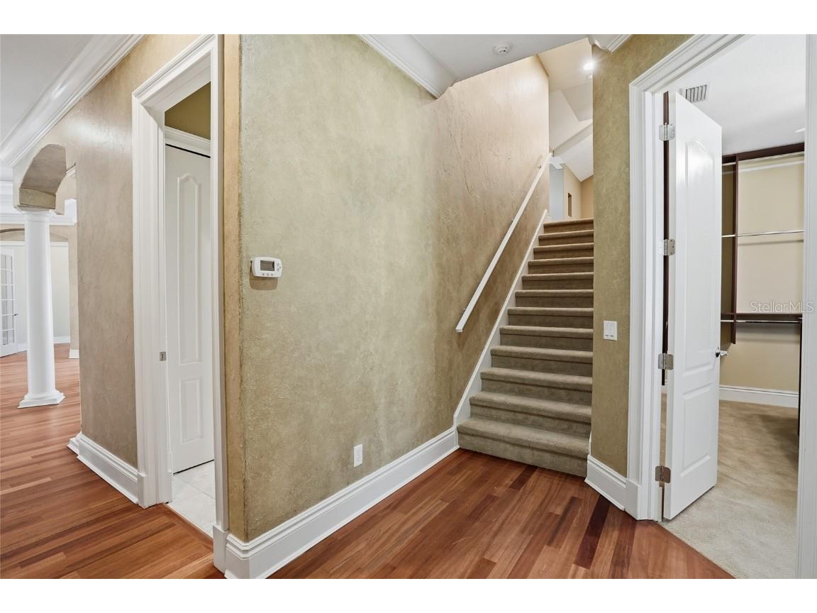 10526 Cory Lake Drive Tampa FL 33647 TB8447636 image28