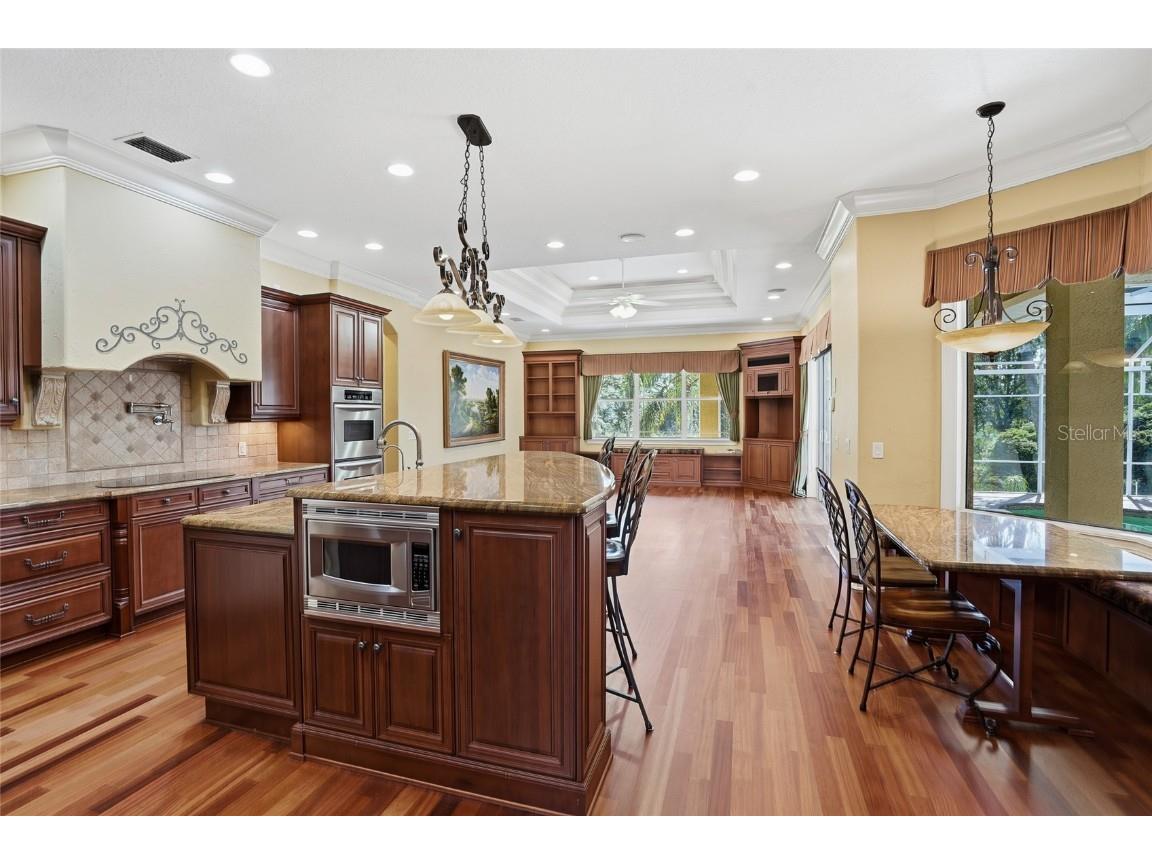 10526 Cory Lake Drive Tampa FL 33647 TB8447636 image34