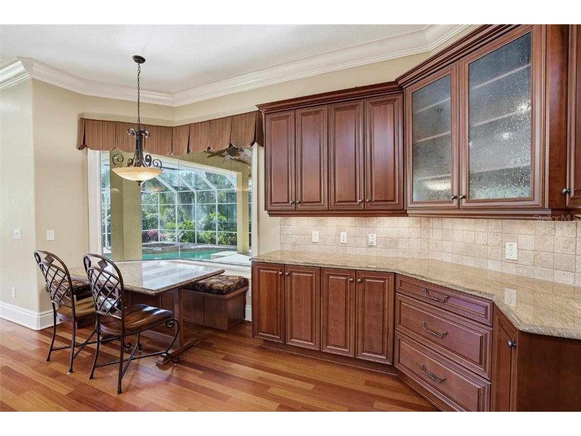 10526 Cory Lake Drive Tampa FL 33647 TB8447636 image37