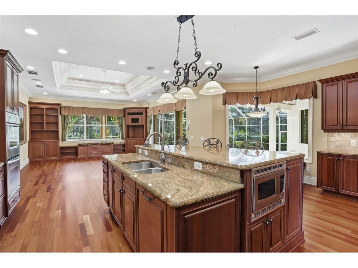 10526 Cory Lake Drive Tampa FL 33647 TB8447636 image38