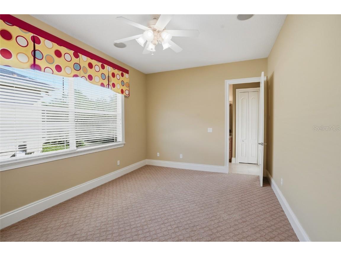 10526 Cory Lake Drive Tampa FL 33647 TB8447636 image43