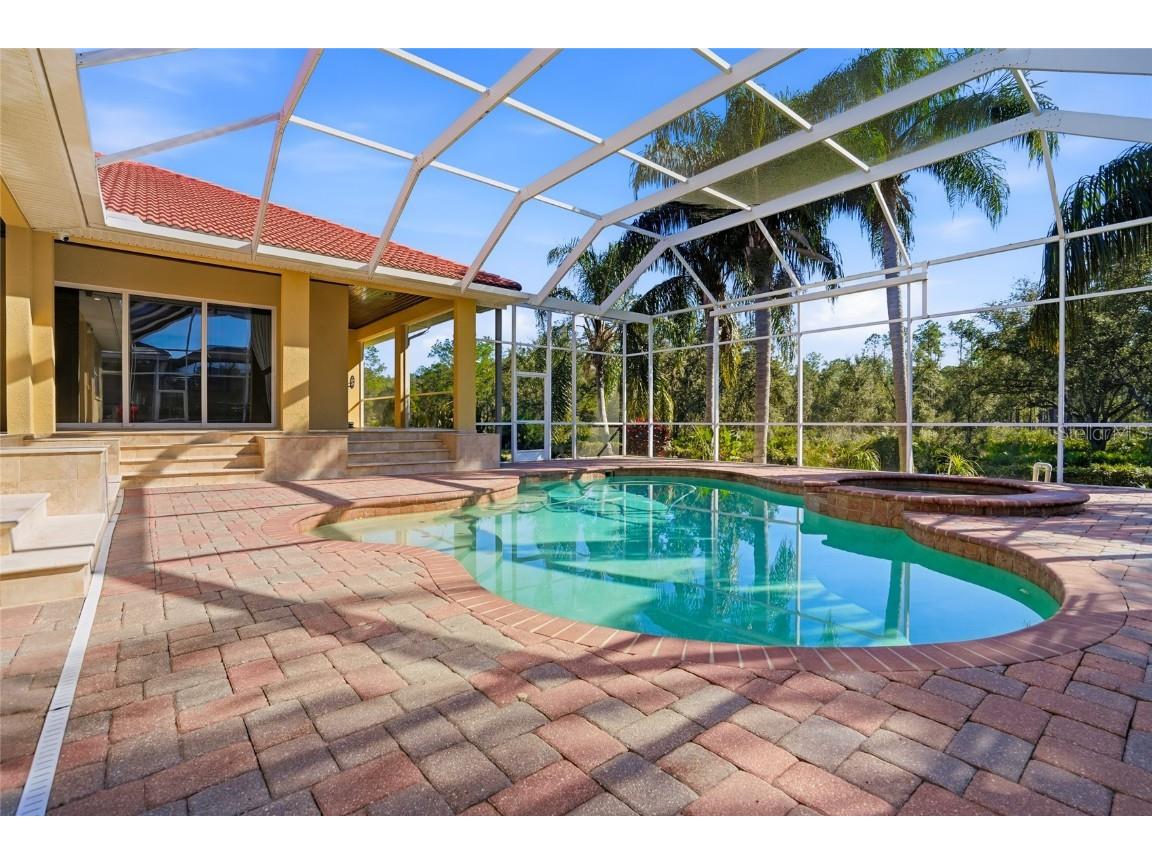 10526 Cory Lake Drive Tampa FL 33647 TB8447636 image49