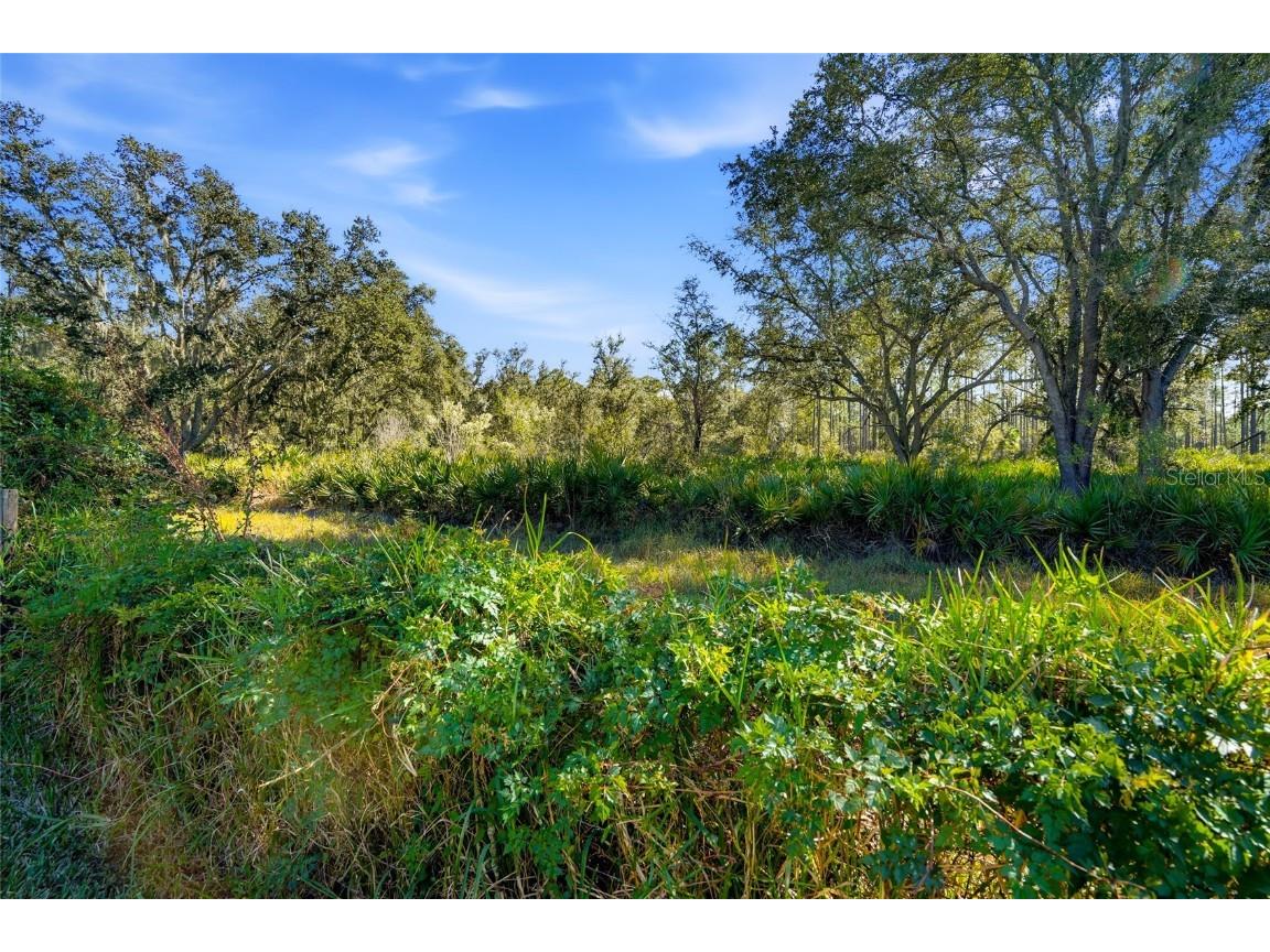 10526 Cory Lake Drive Tampa FL 33647 TB8447636 image58