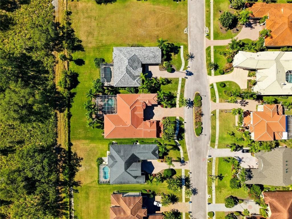 10526 Cory Lake Drive Tampa FL 33647 TB8447636 image59