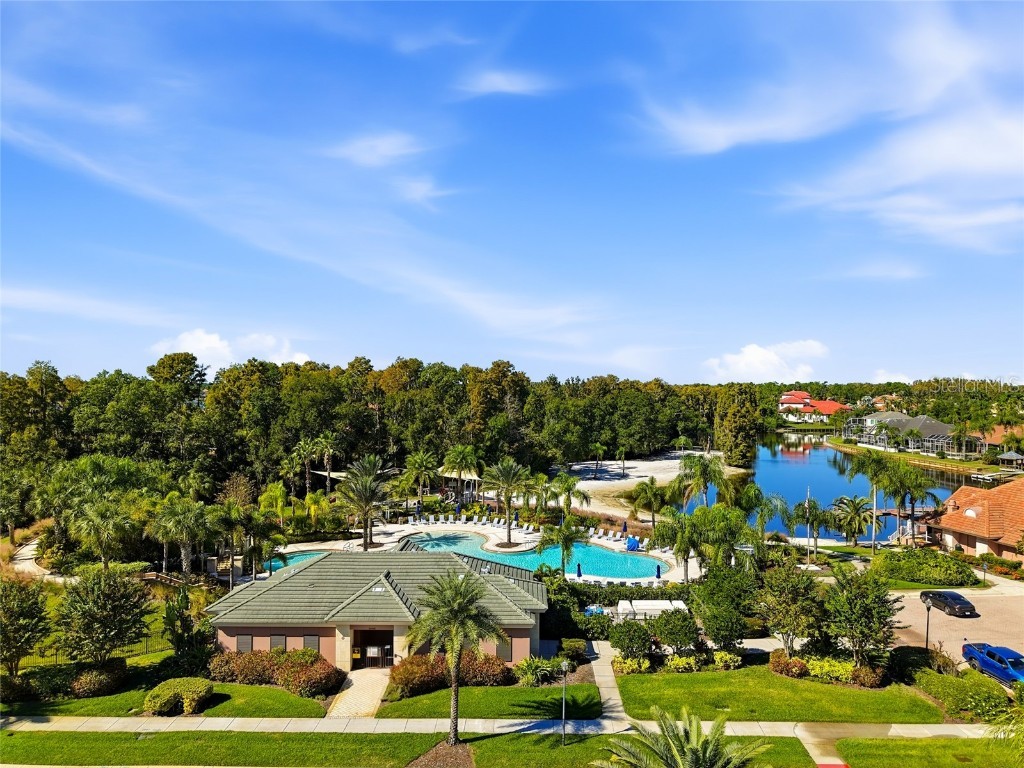 10526 Cory Lake Drive Tampa FL 33647 TB8447636 image62