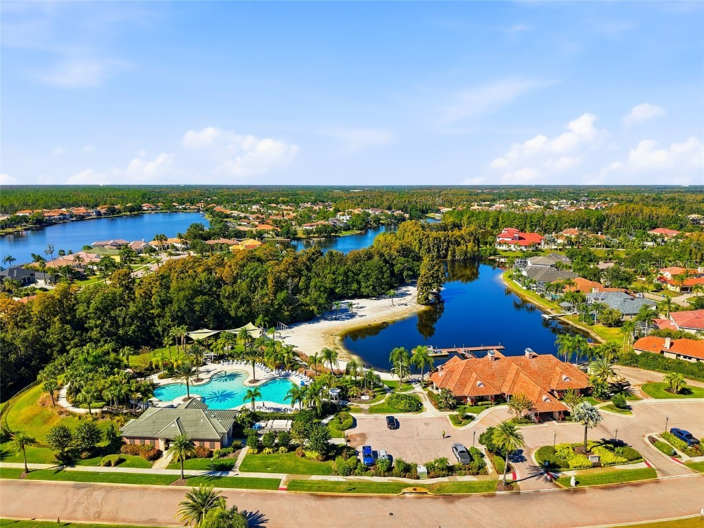 10526 Cory Lake Drive Tampa FL 33647 TB8447636 image63