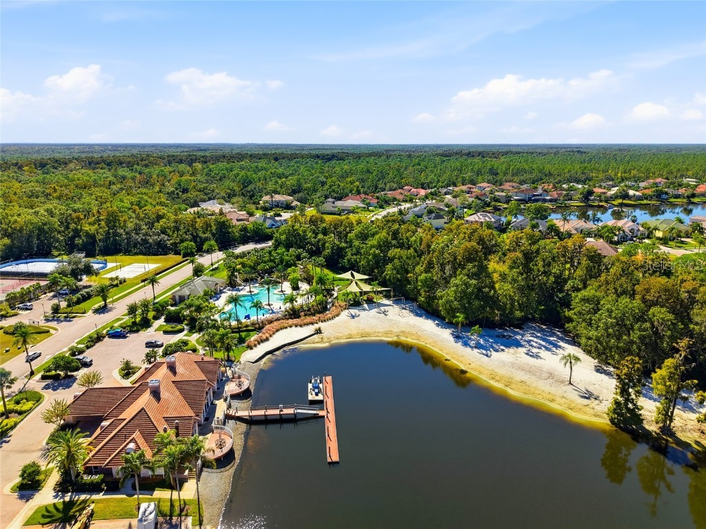 10526 Cory Lake Drive Tampa FL 33647 TB8447636 image66