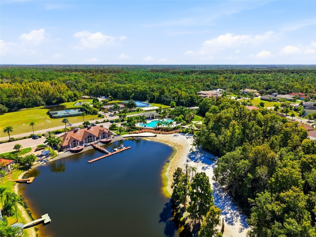 10526 Cory Lake Drive Tampa FL 33647 TB8447636 image67