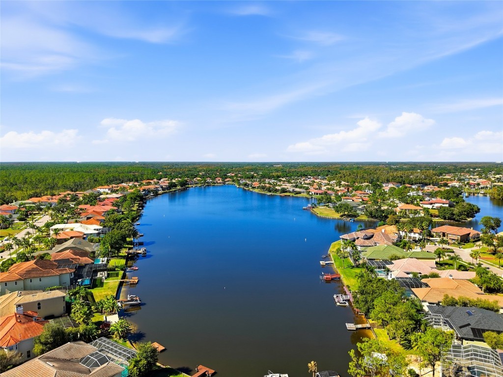 10526 Cory Lake Drive Tampa FL 33647 TB8447636 image69