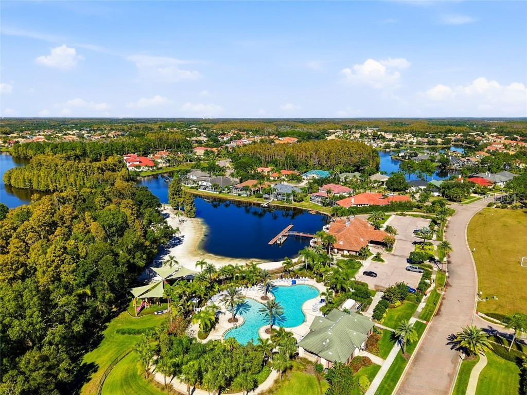 10526 Cory Lake Drive Tampa FL 33647 TB8447636 image70