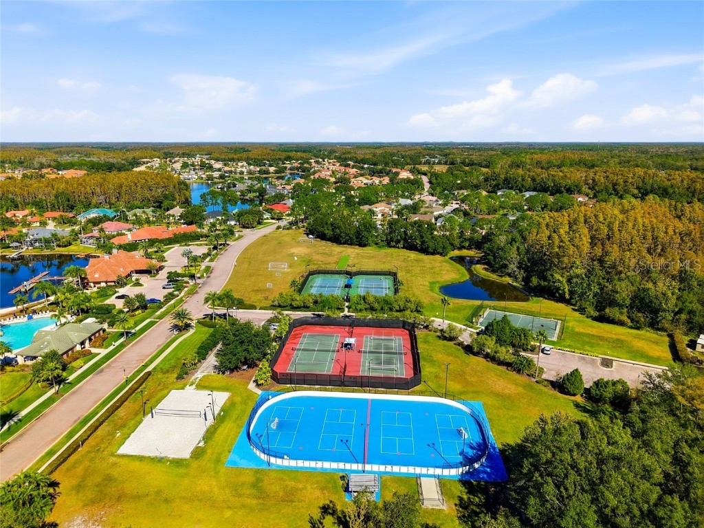 10526 Cory Lake Drive Tampa FL 33647 TB8447636 image71