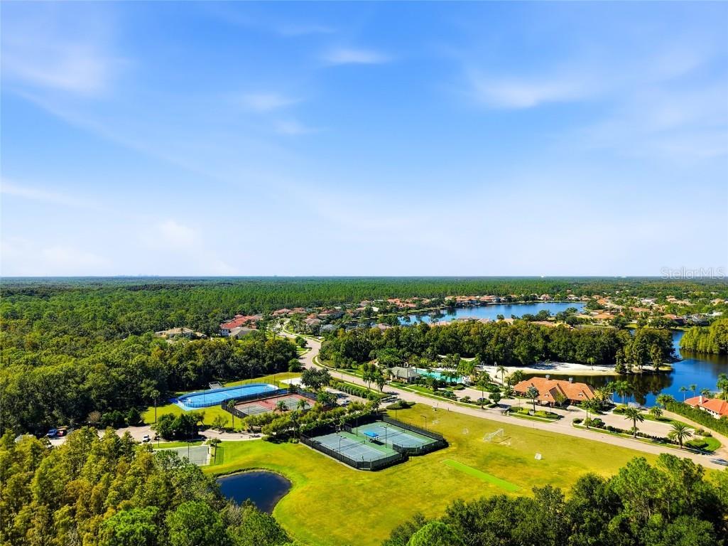 10526 Cory Lake Drive Tampa FL 33647 TB8447636 image73