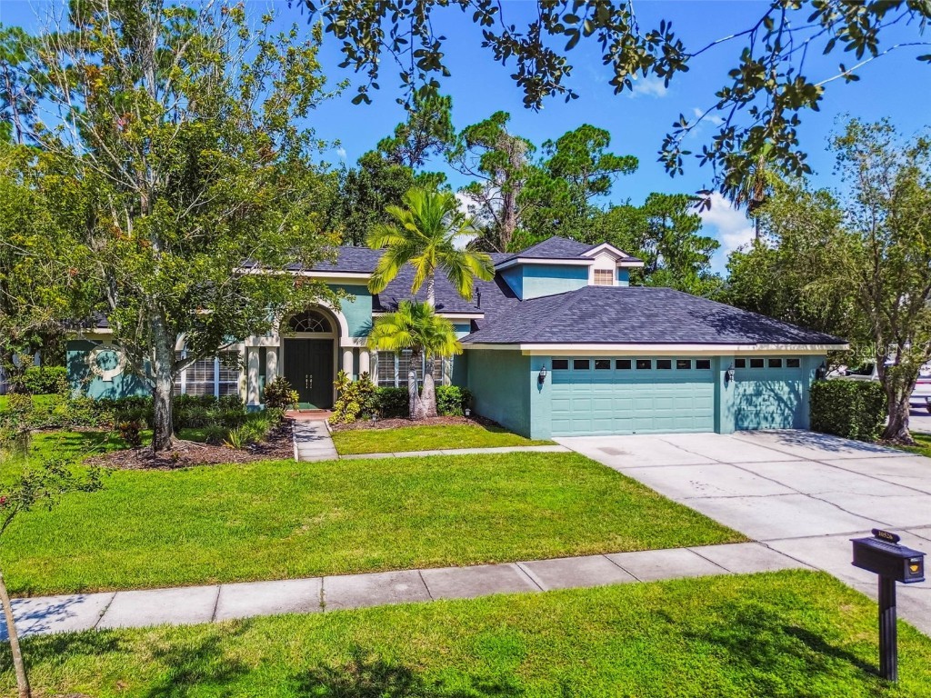 10526 Greencrest Drive Tampa FL 33626 TB8412676 image3