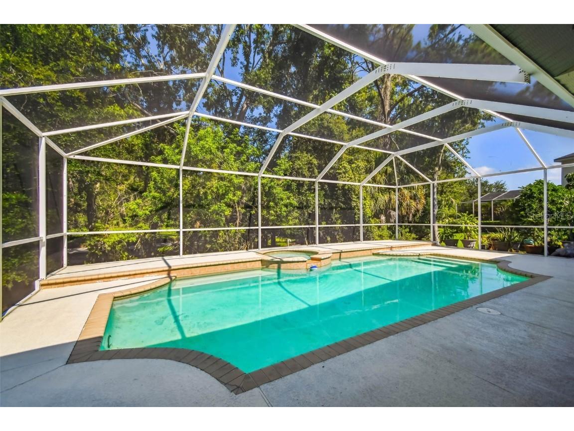 10526 Greencrest Drive Tampa FL 33626 TB8412676 image37