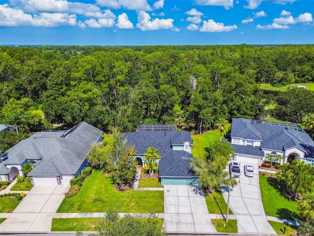 10526 Greencrest Drive Tampa FL 33626 TB8412676 image39