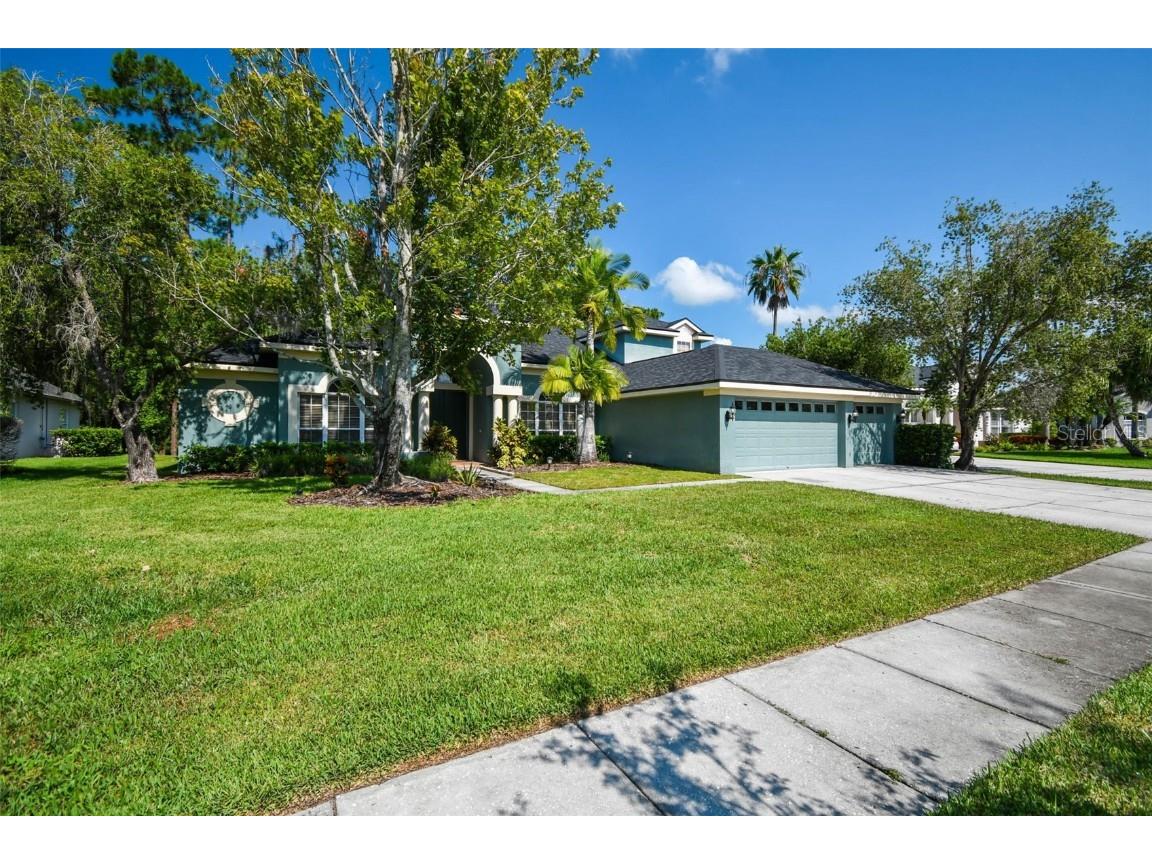 10526 Greencrest Drive Tampa FL 33626 TB8412676 image4