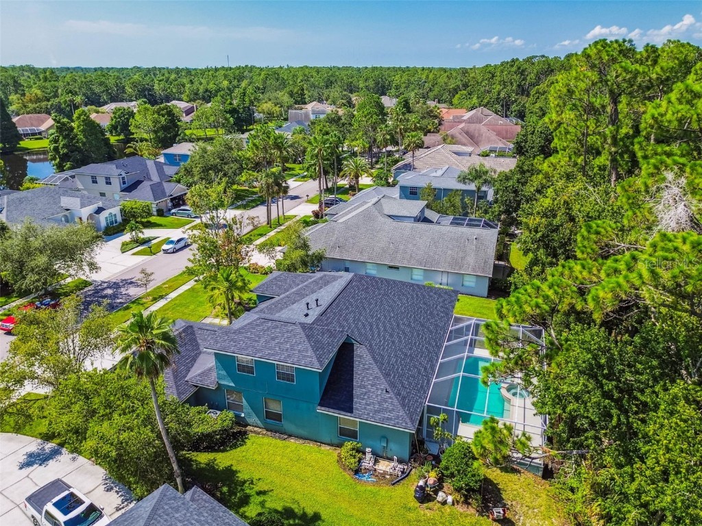 10526 Greencrest Drive Tampa FL 33626 TB8412676 image41