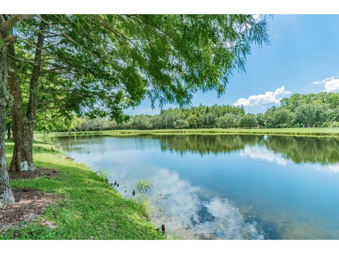 10526 Greencrest Drive Tampa FL 33626 TB8412676 image42