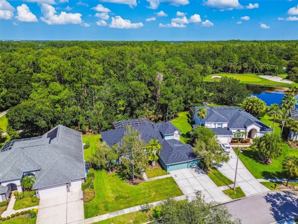 10526 Greencrest Drive Tampa FL 33626 TB8412676 image43