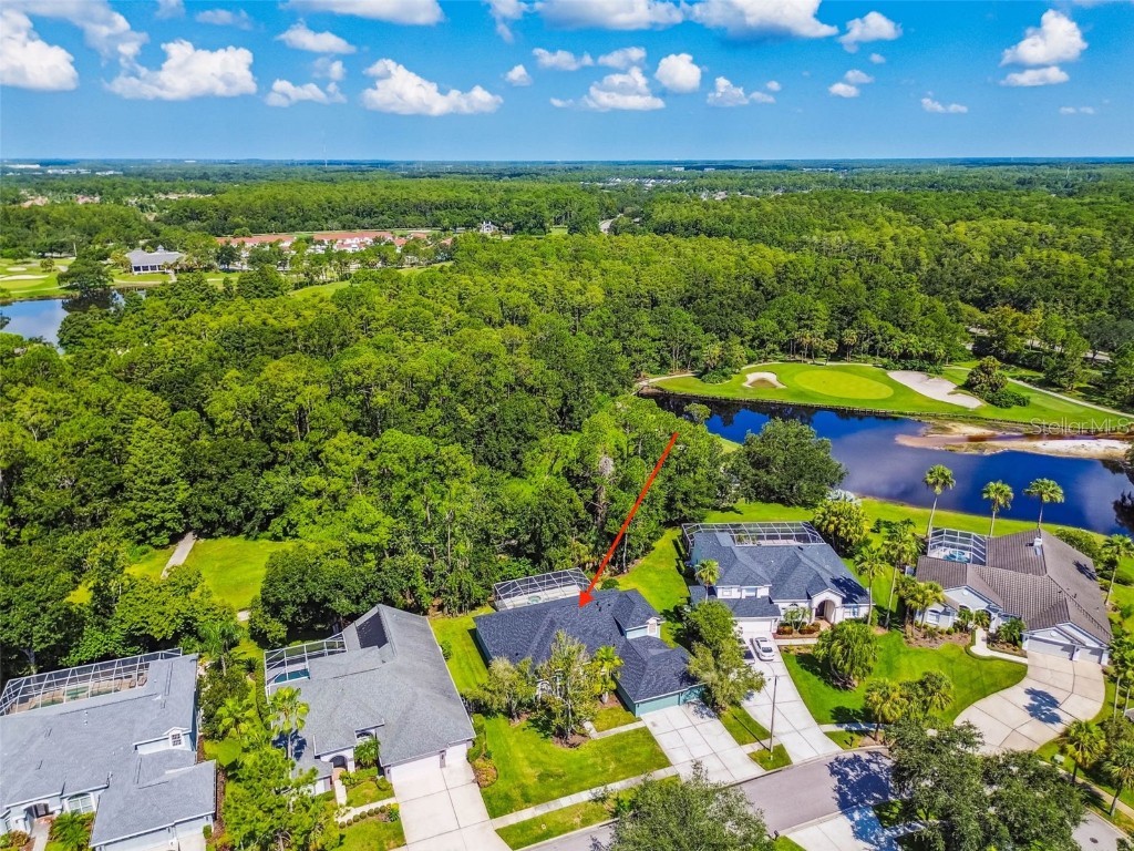 10526 Greencrest Drive Tampa FL 33626 TB8412676 image44