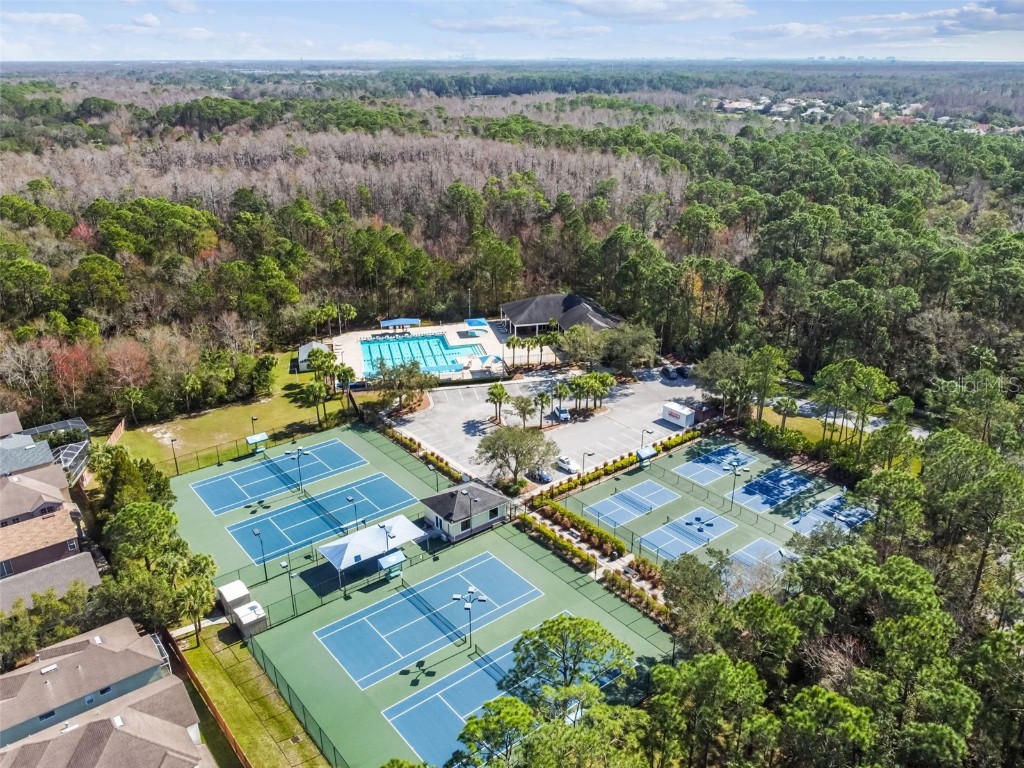 10526 Greencrest Drive Tampa FL 33626 TB8412676 image45