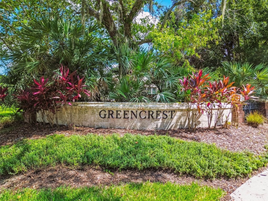 10526 Greencrest Drive Tampa FL 33626 TB8412676 image47